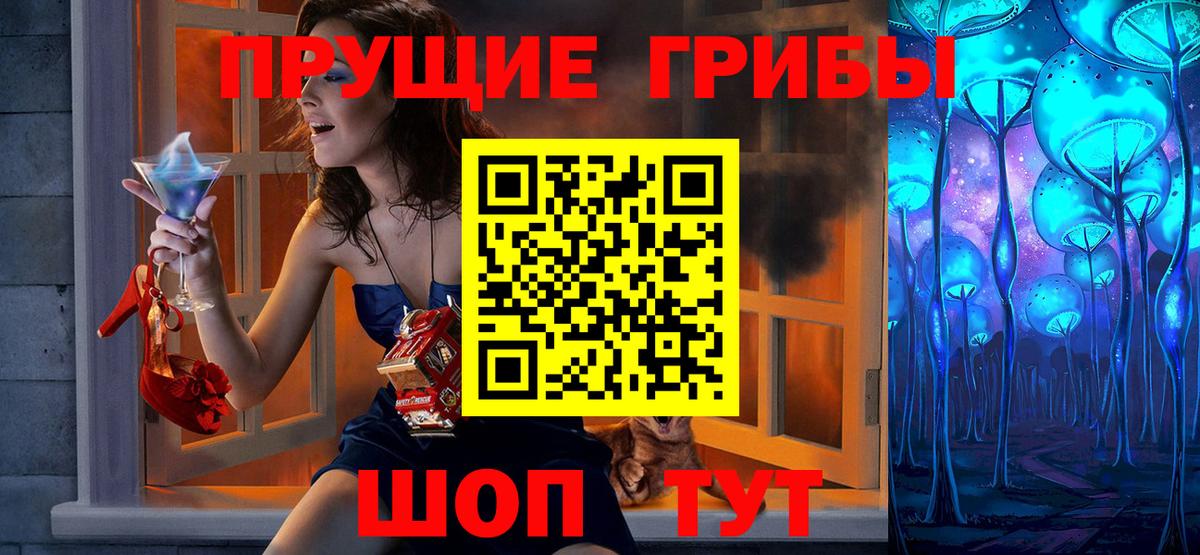 Псилоцибиновые грибы мицелий  даркнет сайт  Тулун  Вход с VPN  Псилоцибиновые грибы прущие грибы 